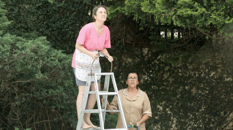 Screenshot of The Second Mother