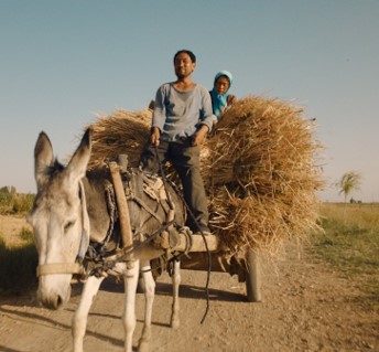 Youtie and Guiying riding on a hay cart being pulled by a donkey.